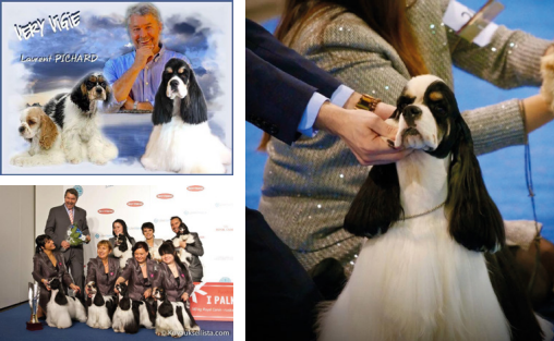 İdeal Köpeğin Peşinde: Laurent Pichard ile Kinoloji ve Yetiştiricilik Sırları